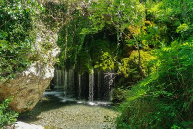 Fontana Capello, Cilento Ulusal Parkı, Campania, İtalya 'da güzel bitkiler ve temiz su bulunan güzel bir şelalenin dikey görüntüsü