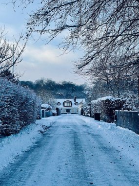 Buzlu ağaçlarla kaplı karlı bir yol ve ufukta kırsal bir ev.