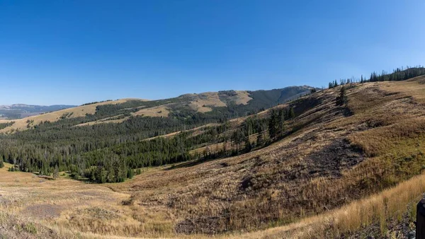 stock image A Beautiful scene of landscape of hills with green trees and dry grass on a sunny day