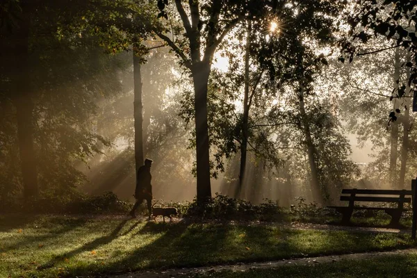一个人在阳光灿烂的天空下在雾蒙蒙的公园里遛狗 — 图库照片
