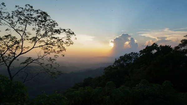 Eine Silhouette Von Grünen Üppigen Bäumen Der Landschaft Bei Sonnenuntergang — Stockfoto