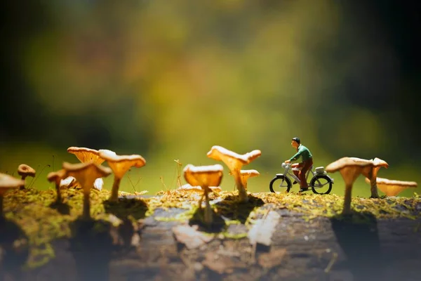 Closeup Little Figure Man Bicycle Set Drive Mossy Wood Mushrooms — Stock Photo, Image
