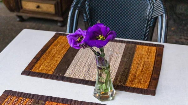 Close Shot Purple Prairie Gentian Flowers Vase Table — Stock Photo, Image