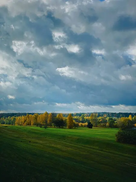 Вид Воздуха Зеленое Поле Плотными Деревьями — стоковое фото