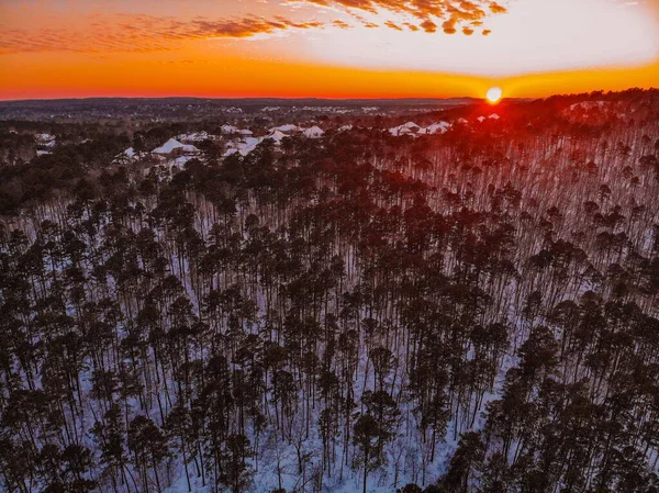 Naturskön Bild Skogen Täckt Snö Vid Solnedgången — Stockfoto