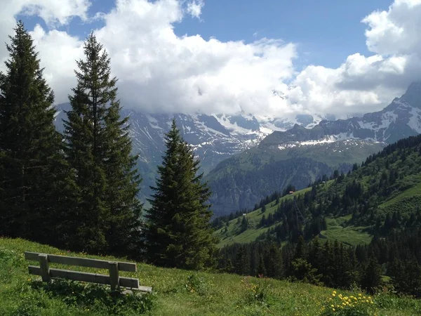 Eine Bank Vor Den Verschneiten Schweizer Alpen Einem Sonnigen Tag — Stockfoto