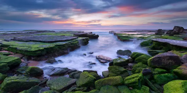 Скалистый Пляж Покрытый Множеством Зеленых Скал Закате — стоковое фото