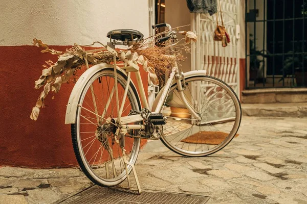 Metallisk Vit Cykel Med Torra Växter Sevilla Spanien — Stockfoto