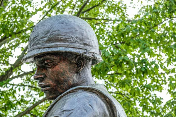 Closeup Shot Soldier Monument Tree Green Leaves Background — Stock Photo, Image
