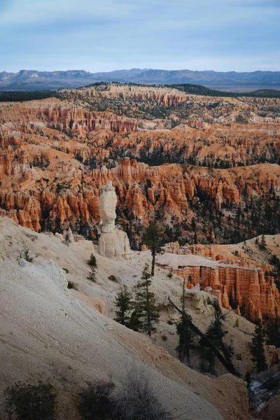 美国犹他州风景名胜古迹布莱斯峡谷国家公园的垂直拍摄 — 图库照片