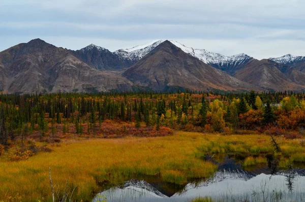 Naturskön Utsikt Över Ett Vackert Fält Omgivet Snöiga Berg Denali — Stockfoto