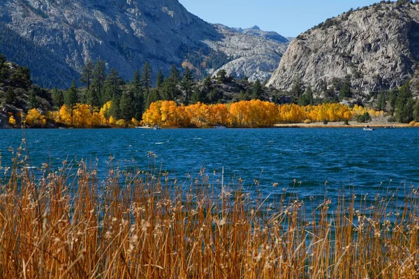 Malowniczy Jesienny Krajobraz June Lake Loop Kalifornia — Zdjęcie stockowe