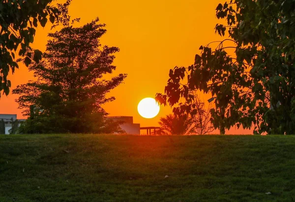Ένα Γραφικό Ηλιοβασίλεμα Πάνω Από Ένα Πάρκο Πράσινα Δέντρα Χρυσή — Φωτογραφία Αρχείου