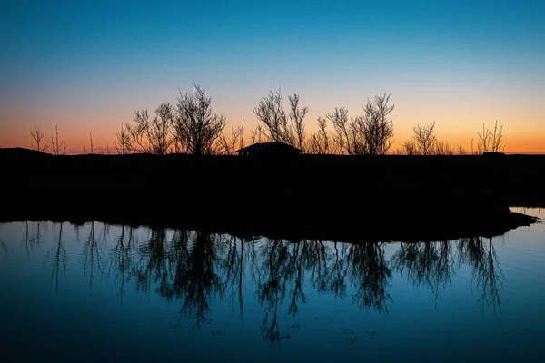Silhouette Deciduous Trees Reflected Water Sunset Iceland — Stock Photo, Image