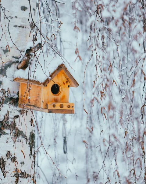 雪の公園の木の幹から吊るされた手作りの木製の鳥の家の垂直閉鎖 — ストック写真