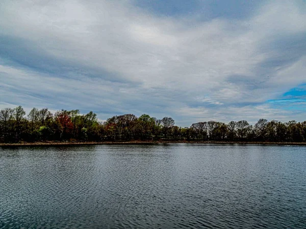 青い空を背景に木々に囲まれた静かな湖の美しい景色 — ストック写真