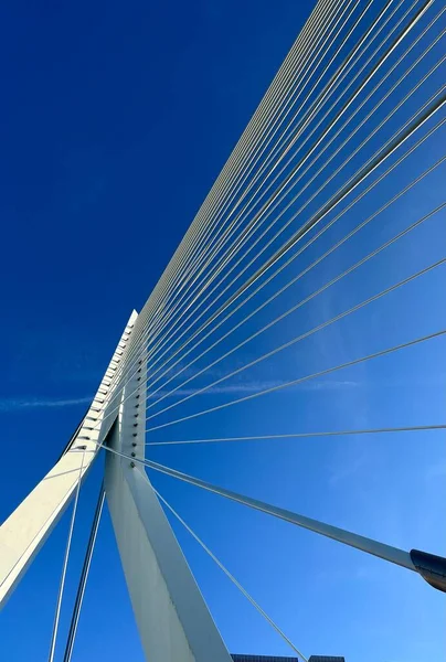 Vertical Shot White Cable Stayed Architecture Bridge Erasmusbrug Rotterdam Netherlands — Stock Photo, Image