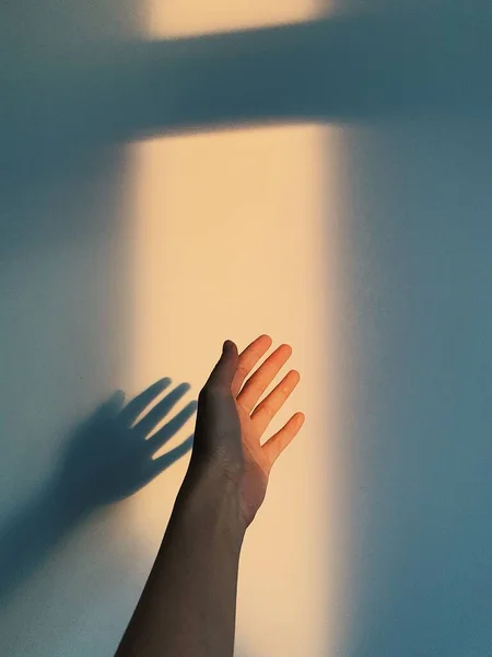 Eine Hand Schatten Ästhetischen Hintergrund — Stockfoto