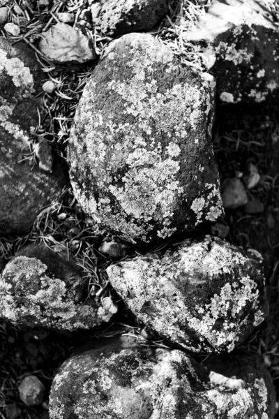 Eine Vertikale Graustufe Der Moosbewachsenen Felsen — Stockfoto