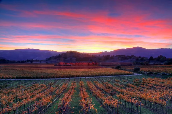 Ett Höstlandskap Med Vidsträckt Jordbruksmark Vid Solnedgången Napa Valley Kalifornien — Stockfoto