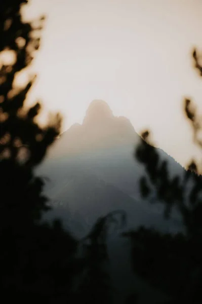 Bulanık Bir Dağ Siluetinin Dikey Görüntüsü Gün Batımında Ağaç Dallarının — Stok fotoğraf