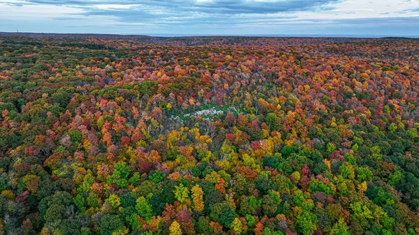 秋天美丽而浓密的五彩斑斓的森林的高角景观 — 图库照片