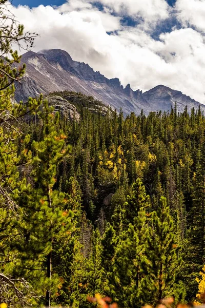 Una Vista Panorámica Del Denso Bosque Con Montañas Tocando Las — Foto de Stock