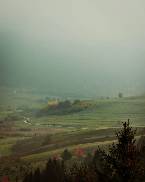 霧の日に豊かな植生を持つ緑の谷を示す風光明媚な風景の垂直 — ストック写真