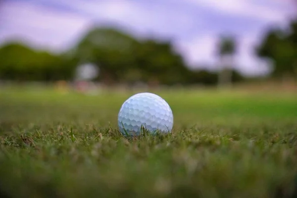 Een Close Van Een Enkele Golfbal Het Gras Een Golfveld — Stockfoto