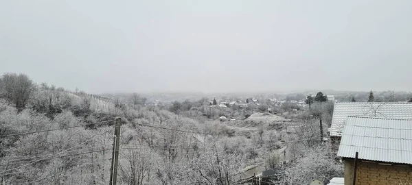 雪に覆われた電線や木のある家の屋根 — ストック写真