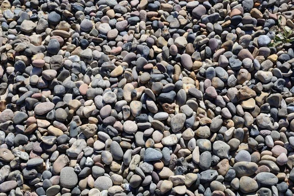 Eine Nahaufnahme Von Steinen Strand Einem Sonnigen Tag — Stockfoto