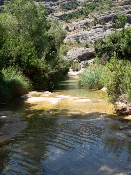 stock image A vertical shot of a river surrounded by rocky mountains, Els Ports, Tarragona, Spain