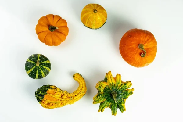 Felső Nézet Változatos Sütőtök Tök Bumpy Narancs Halloween Fehér Háttér — Stock Fotó