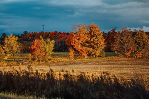 美丽的云天 一片被五彩缤纷的秋天绿叶环绕的田野 — 图库照片