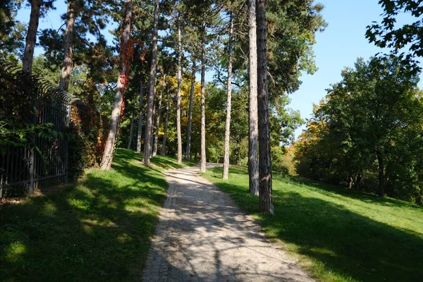 プラハのストラホフ公園の緑豊かな木々や草に囲まれた道の美しい景色 — ストック写真