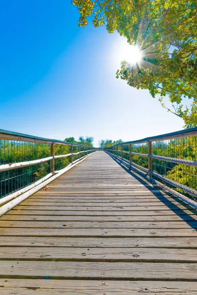 Вертикальный Снимок Узкого Деревянного Моста Голубым Небом — стоковое фото