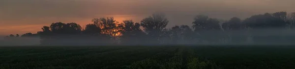 Una Puesta Sol Niebla Escénica Sobre Campo — Foto de Stock