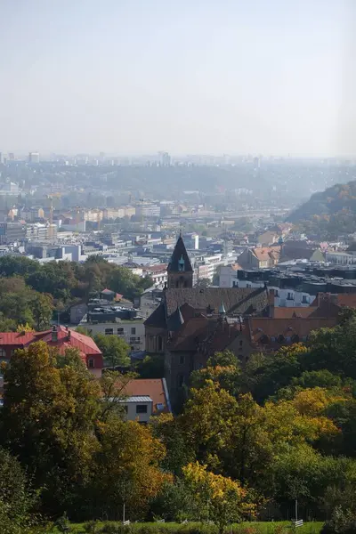 Вертикальний Знімок Церкви Оточенні Пишних Дерев Парку Страхов Празі Чехія — стокове фото