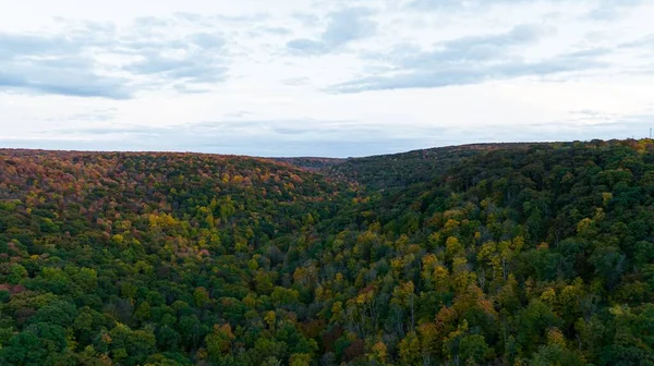 Een Prachtig Hoge Hoek Uitzicht Een Felgekleurde Herfst Gebladerte Bergen — Stockfoto