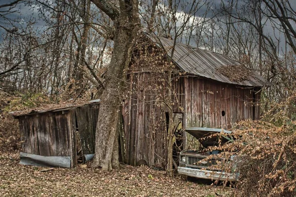 森の古い木の納屋の閉鎖葉のない木で — ストック写真