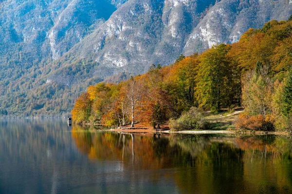 Uma Paisagem Cênica Lago Bohinj Eslovênia Outono — Fotografia de Stock