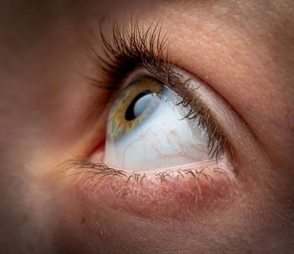Uno Scatto Macro Bulbo Oculare Una Persona Che Guarda Alto — Foto Stock