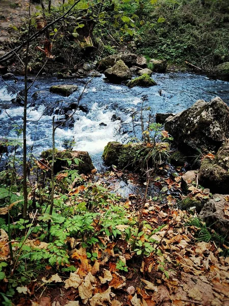 Ein Schöner Blick Auf Einen Fluss Mit Steinen Und Herbstbäumen — Stockfoto