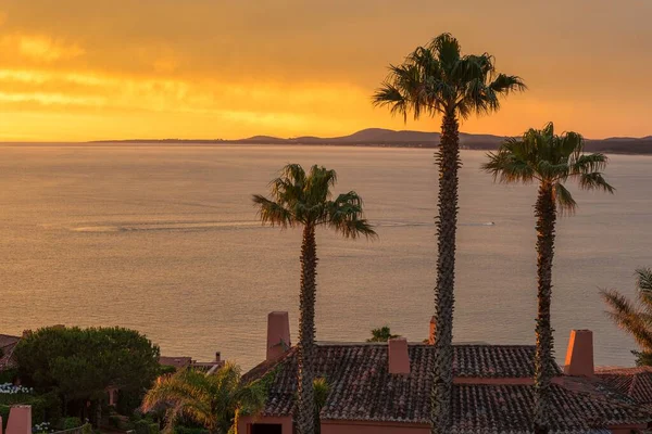 Three Palm Trees Terrace House Overlooking Bay Golden Sunset Punta — Stock Photo, Image
