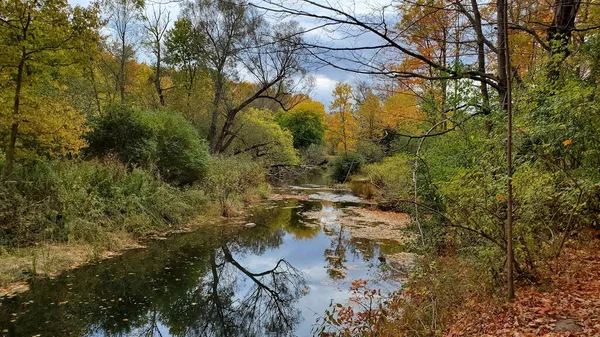 Die Schöne Herbstkulisse Mit Bunten Bäumen Und Dem Fluss Der — Stockfoto