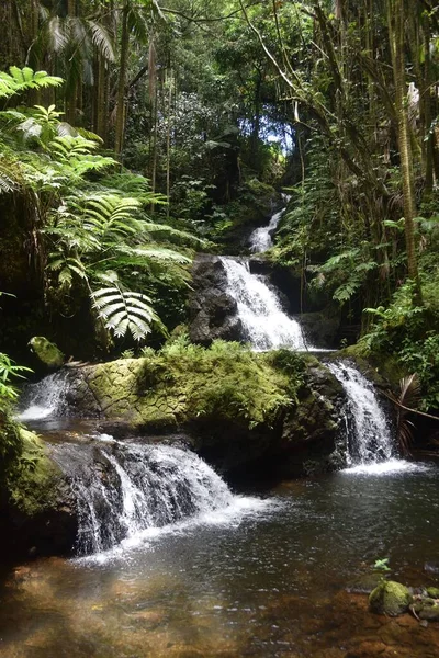 Ein Versteckter Wasserfall Wald — Stockfoto