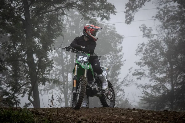 在森林的薄雾中骑自行车拍摄的低角度摩托车 — 图库照片