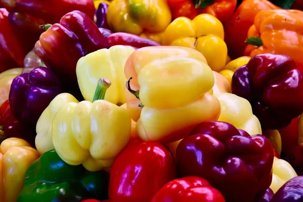 Stock image A closeup shot of the shiny colorful bell peppers at the market