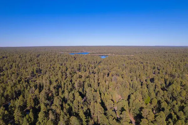Drone Aérien Tiré Lac Willow Spring Distance Arizona Aux États — Photo