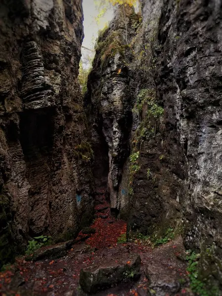 Прекрасний Вертикальний Вид Величезні Скелі Мокрими Каменями Землі — стокове фото